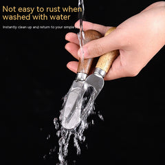 Stainless Steel Cheese Knife with Acacia Wooden Handle