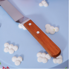 10 Inch Stainless Steel Cake Spatula with Wooden Handle