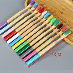 Colorful Bamboo Toothbrush Set with Painted Handles