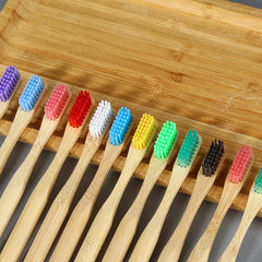 Colorful Bamboo Toothbrush Set with Painted Handles