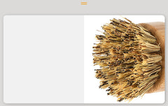 Eco-Friendly Bamboo Coconut Palm Kitchen Cleaning Brush