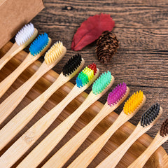 Natural Bamboo Toothbrush Set – 6 Pack Adults