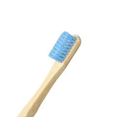 Colorful Bamboo Toothbrush Set with Painted Handles