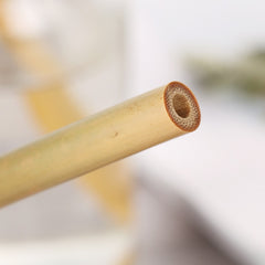 Eco-Friendly Natural Bamboo Straws with Cleaning Brush
